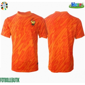 Frankrike Målvakt Bortatröja EM 2024 Kortärmad